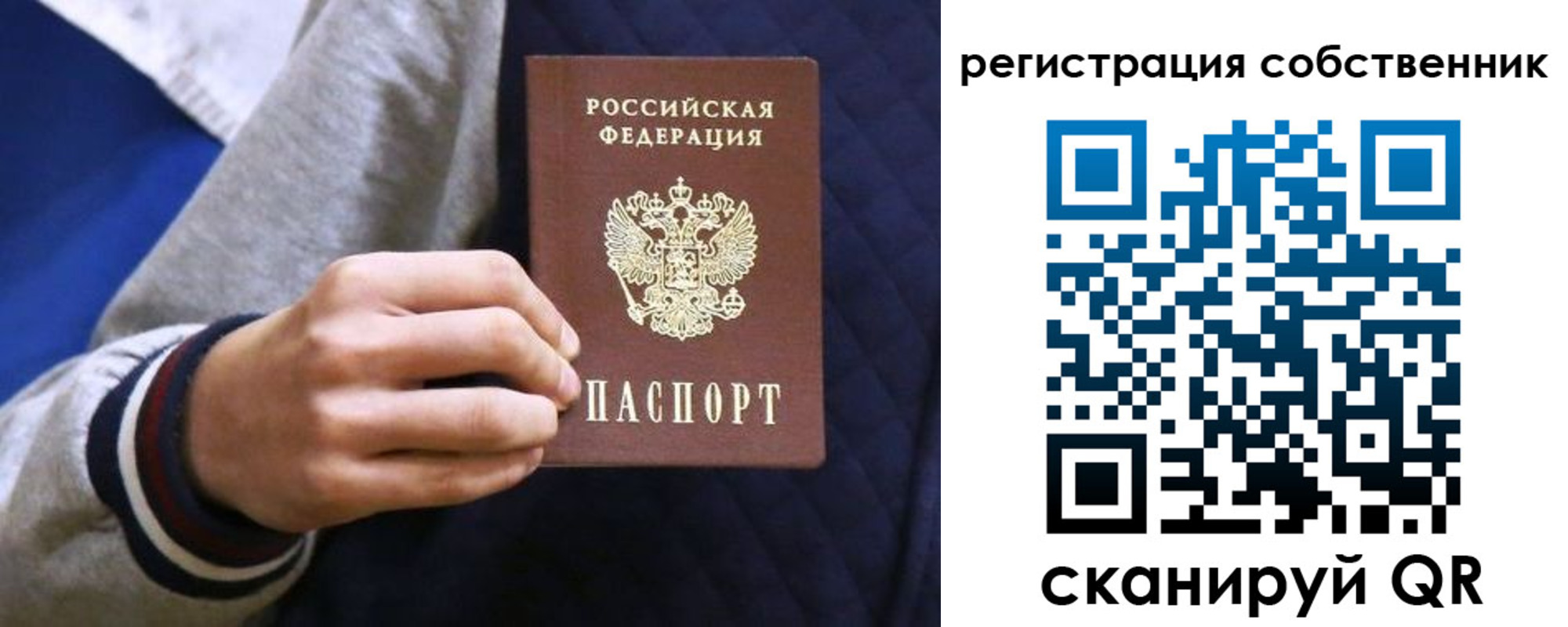 прописка поиск в Михайловске